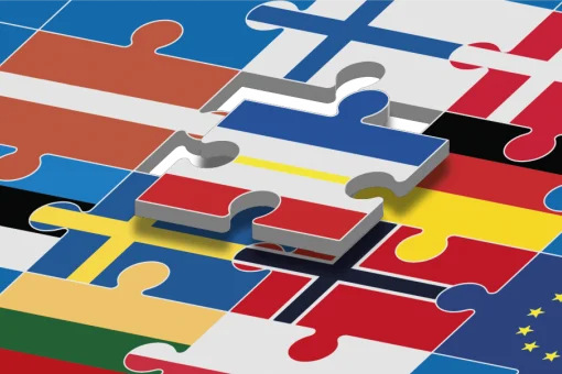 Eine Grafik eines Puzzles, dessen einzelne Teile aus den Flaggen der EU und verschiedener Ostsee-Anrainerstaaten (u. a. Deutschland, Schweden, Dänemark) bestehen. Ein zentrales, leicht abgehobenes Puzzleteil zeigt die Flagge von Mecklenburg-Vorpommern.