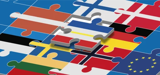 Eine Grafik eines Puzzles, dessen einzelne Teile aus den Flaggen der EU und verschiedener Ostsee-Anrainerstaaten (u. a. Deutschland, Schweden, Dänemark) bestehen. Ein zentrales, leicht abgehobenes Puzzleteil zeigt die Flagge von Mecklenburg-Vorpommern.